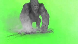 Green Screen 40 essential effects [upl. by Canon]