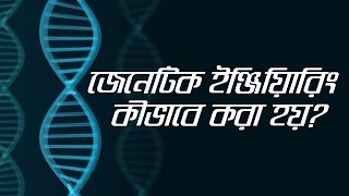 11 How does Genetic Engineering work জেনেটিক ইঞ্জিনিয়ারিং কীভাবে করা হয় [upl. by Emirej966]