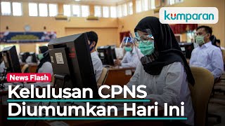 Kelulusan CPNS 2019 Diumumkan Hari Ini Rekrutmen PNS 2020 Ditiadakan [upl. by Harras]