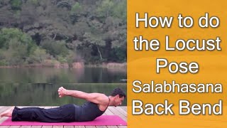 How to Do the Locust Pose  Salabhasana Back Bend [upl. by Hobard]