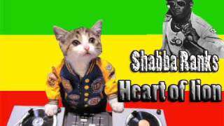 shabba Ranks  Heart of a lion [upl. by Rahsab]