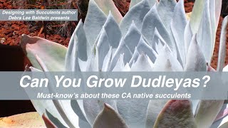 About Dudleyas Plant Care and Info [upl. by Glick]