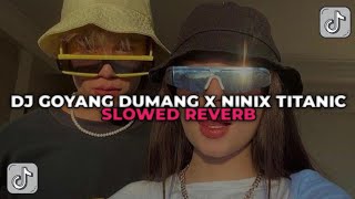 DJ GOYANG DUMANG X NINIX TITANIC  DJ MELODY GOYANG DUMANG YANG KALIAN CARI CARI [upl. by Occor]