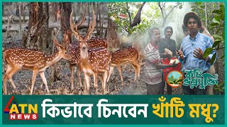 একটি চাকে কয়টি রানী মৌমাছি থাকে  Krishi O Projukti  Jan 27 2024  ATN News [upl. by Pavkovic852]