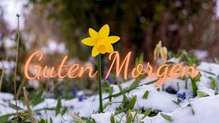 Guten Morgen mit warmen Herzen ❄️ 💗 Gruß Video zum Wochenende [upl. by Ardnayek]