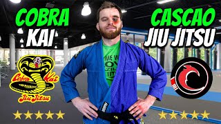 I Survived The Highest Rated Jiu Jitsu Gyms In Las Vegas [upl. by Hannis985]