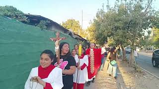 Domingo de Ramos 2024 Bendición de Los Ramos Desde La Plaza Manutara Con Rojas Magallanes [upl. by Giannini]