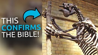 Evolutionists Will HATE This Video [upl. by Ylrebma411]