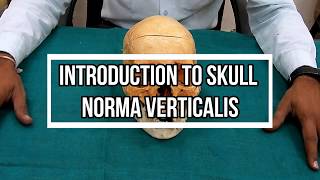 Norma Verticalis [upl. by Justen]