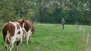 1 JOUR A LA FERME avec un éleveur laitier [upl. by Sianna]