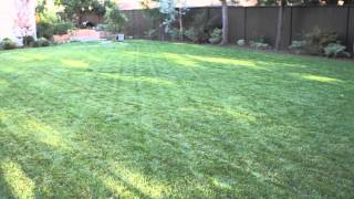 How to Landscape a Big Backyard  Landscaping amp Garden Design [upl. by Peonir]