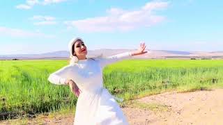 عاشقی ممنوع رضا بهرامPersiandance fusiondanceرقص Iraniancontemporaryballet [upl. by Nilats64]