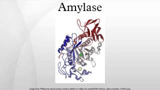 Amylase [upl. by Tamiko]