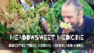 Meadowsweet Medicine [upl. by Ahsircal]