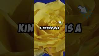 Kindness Be Random [upl. by Hubert]