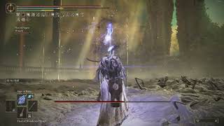 One Boss A Day  Day 309 quotElden Ring DLC  Promised Consort Radahn Seamless Coopquot [upl. by Aimik]