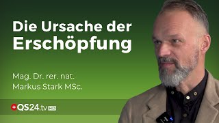 Nebennierenschwäche  grundlos energielos gibt es nicht  Dr rer nat Markus Stark MSc  QS24 [upl. by Oliva]