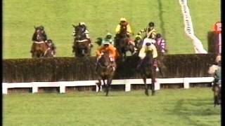 1995 Tote Cheltenham Gold Cup Chase [upl. by Bertina709]