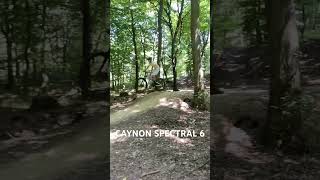 Canyon spectral 6 jump test mtbdirtjump cycling adrenaline mtbcycling cringe bicycle [upl. by Adlanor]