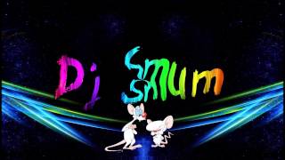 Pinky und der Brain  Theme Dj Smum Remix [upl. by Omrelliug462]