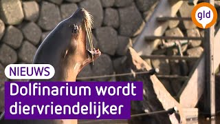 Dolfinarium wordt diervriendelijker walrussen tuimelaars en zeeleeuwen weg [upl. by Llehsim]