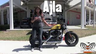 2017 Harley Davidson Sportster 1200 48 in FLORIDA 2019 models Aug [upl. by Desiree168]