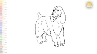 Cocker Spaniel drawing easy  Dog drawings easy  How to draw A Spaniel  artjanag [upl. by Mitzie681]