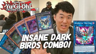 Insane Blackwing Combo from Tim Li  YuGiOh Feat Raidraptor  Wise Strix [upl. by Nora]