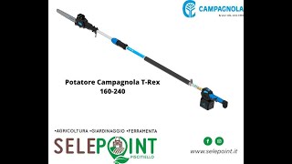 Potatore elettrico a batteria Campagnola T REX con asta telescopica 160240 per lavori di potatura [upl. by Payton218]