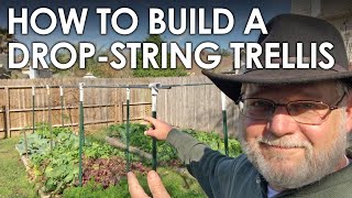 How to Build a String Trellis for Tomatoes and Cucumbers  Black Gumbo [upl. by Ioab]