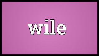 Wile Meaning [upl. by Pejsach864]