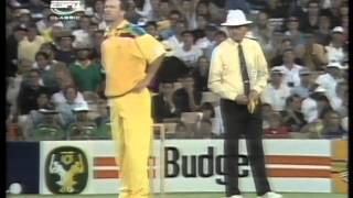 kepler wessels 81 vs Australia WC 1992 [upl. by Hennie]