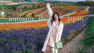 Where To Go in Japan Autumn amp Winter Season 🇯🇵 spill itinerary best foods flower fields etc [upl. by Eirdua]