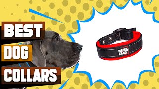 Best Dog Collars In 2024  Top 10 Dog Collars Review [upl. by Sommer764]