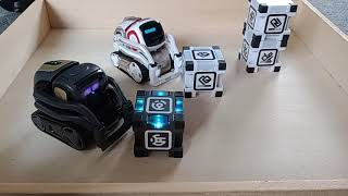 Vector 20 meets Anki Cozmo robot vector cozmo [upl. by Eirolav]