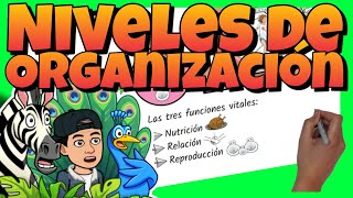 🔬 NIVELES de ORGANIZACIÓN de los SERES VIVOS para NIÑOS 🦠 Células tejidos sistemas y aparatos [upl. by Weinman884]