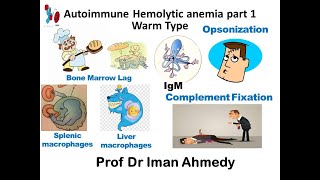 Autoimmune Hemolytic Anemia part 1 Warm type [upl. by Elleinnad]