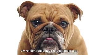 BULLDOG TÉLÉPATHE – COFFRET DE SOINS POUR BARBE [upl. by Ayihsa]