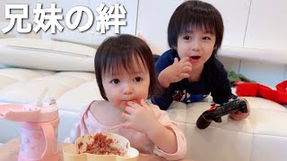 【アレクampのんちゃん】兄妹の絆❤️4才の息子と1才3ヶ月の娘❤️ [upl. by Oneg]