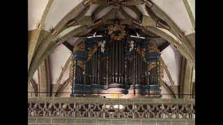 Georg Joseph Abbè Vogler Cantabile CDur blaue Ehrlich Orgel Bad Wimpfen blue organ [upl. by Noletta]