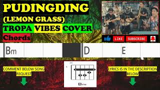 PUDINGDING  LEMON GRASS  TROPAVIBES COVER  CHORDS [upl. by Lipson]