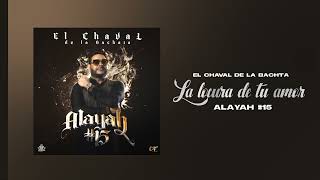 El Chaval de la Bachata  La Locura De tu Amor [upl. by Haerle]