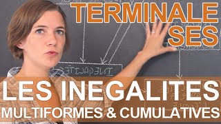 Pourquoi les inégalités sont multiformes et cumulatives   SES  Terminale  Les Bons Profs [upl. by Jud]