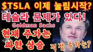 테슬라 문제가 있다 TSLA 주가 상승 브레이크 이제 눌림시작 현재 주가 상승 과하다  Goldman Sachs   Tesla 주가  테슬라 투자 [upl. by Ekud]