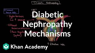 Diabetes mellitus type 1 type 2 amp diabetic ketoacidosis DKA [upl. by Dieball]