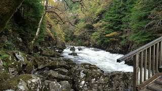 Betws y Coed walk to the miners bridge snowdonia [upl. by Oyr]