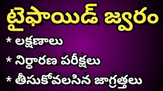 Typhoid Fever in Telugu టైఫాయిడ్ లక్షణాలు [upl. by Ryter]