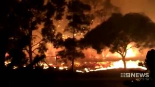 Yangebup Firebugs  9 News Perth [upl. by Hayley]