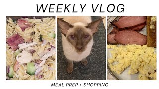 WEEKLY VLOG  Food Prep amp Shopping [upl. by Mcclish732]