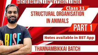 Structural organisation in Animals Class 11  Part 1  Thannambikkai Batch  NCERT line to line [upl. by Dnalevets]